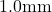 1.0\text{mm}