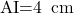 \text{AI=4\, cm}