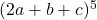 (2a+b+c)^5