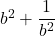 b^2+\dfrac{1}{b^2}