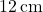 12\, \text{cm}
