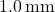 \text{1.0\,mm}