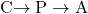 $\text{C}\rightarrow\text{P}\rightarrow\text{A}$