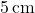 5\,\text{cm}