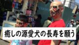 癒しの源愛犬の長寿を願う(R7.5.15徳島新聞掲載分)